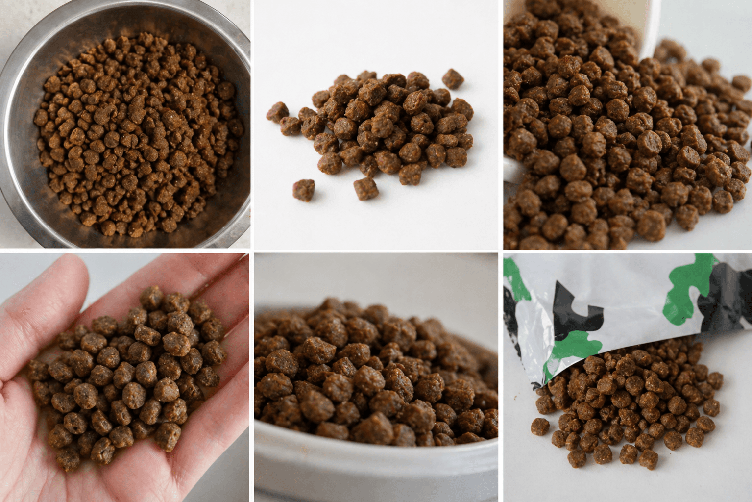 Close-up of Chicken & Rice dry dog food kibble
